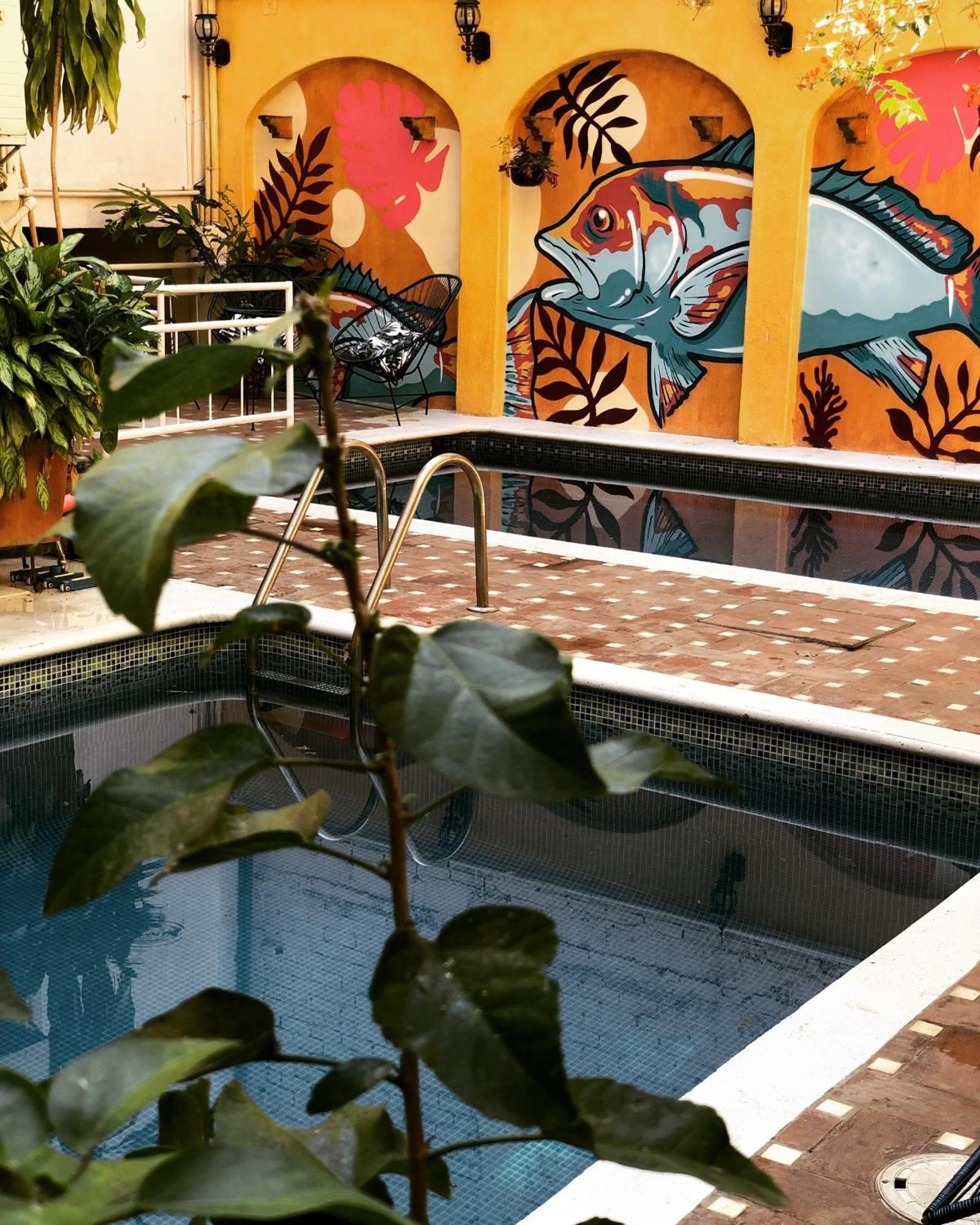 Pargos Hotel & Cowork Puerto Escondido  Εξωτερικό φωτογραφία